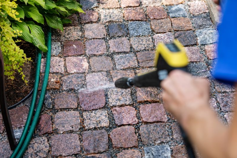 Paver Walkway Cleaning