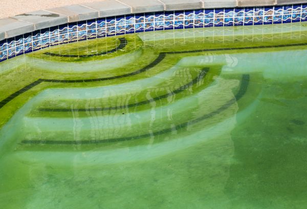 Cost of Pool Deck Algae Removal in Broken Arrow